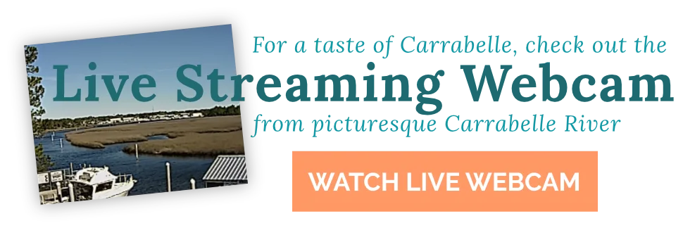 Watch live streaming webcam