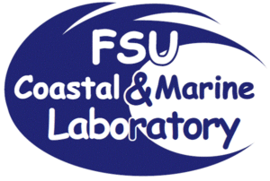 FSU Marine Lab