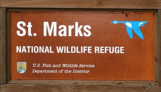 National Wildlife Refuge-St. Marks & Otter Lake