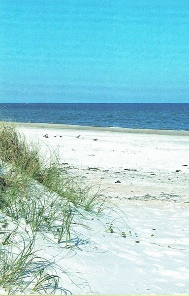 Dr. Julian G. Bruce St. George Island State Park