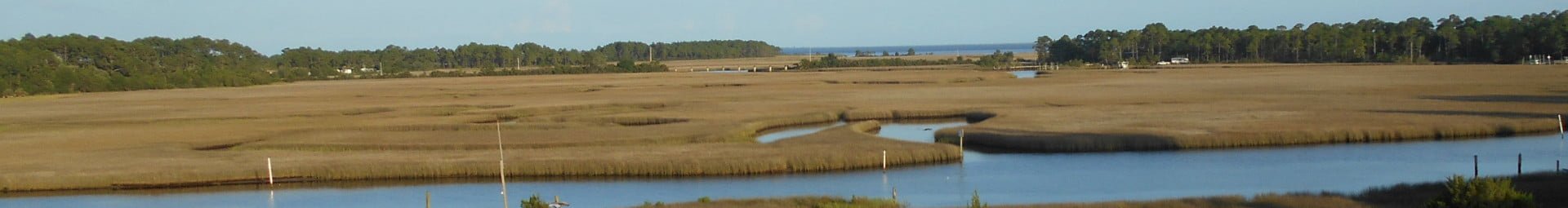 Marsh in Carrabelle Florida