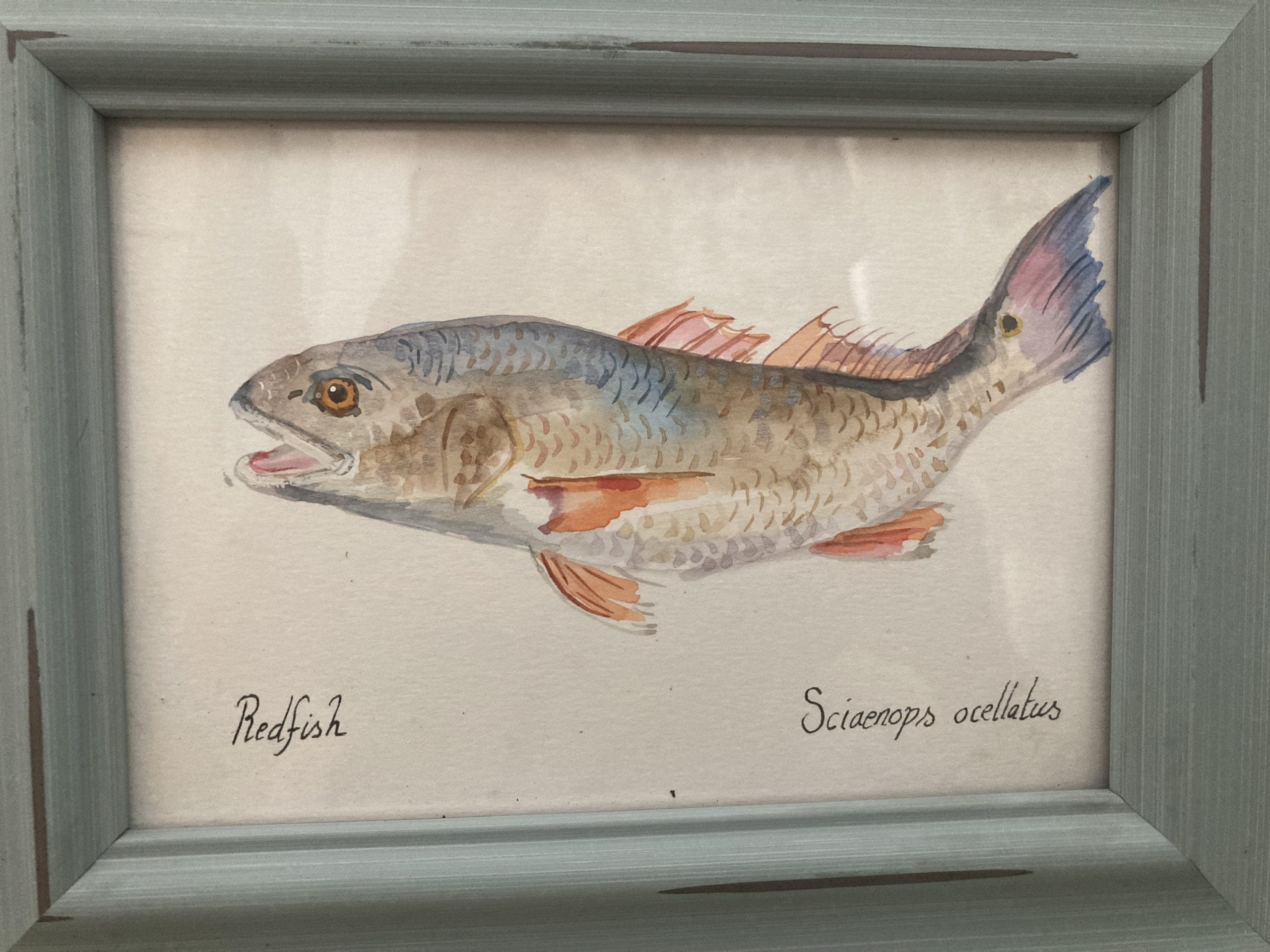 Redfish Painting CAA Auction