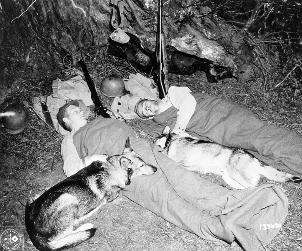ATTACHMENT DETAILS War-Dogs-and-their-handlers-snatch-a-few-minutes-of-much-needed-rest during WWII