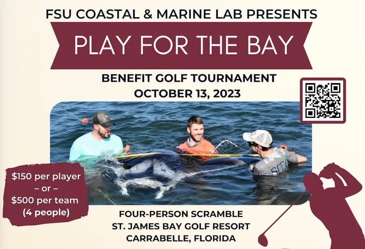 Play for the Bay Golf Tournament flyer