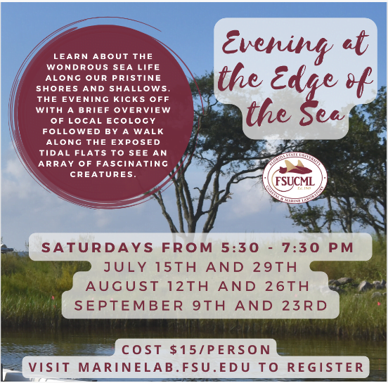 FSU Evening at the Edge of the Sea flyer