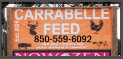 Carrabelle Feed